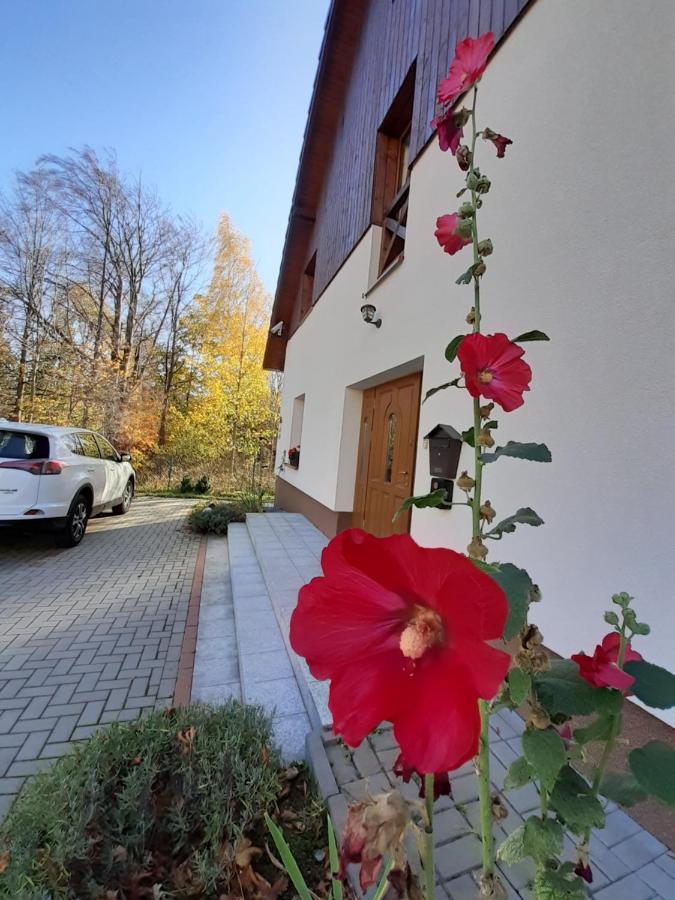 Ferienwohnung To Tutaj Schreiberhau Exterior foto